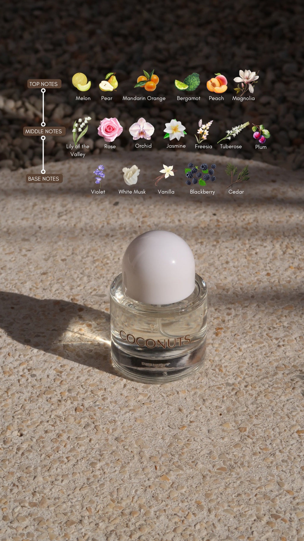 COCONUTS Eau de Parfum